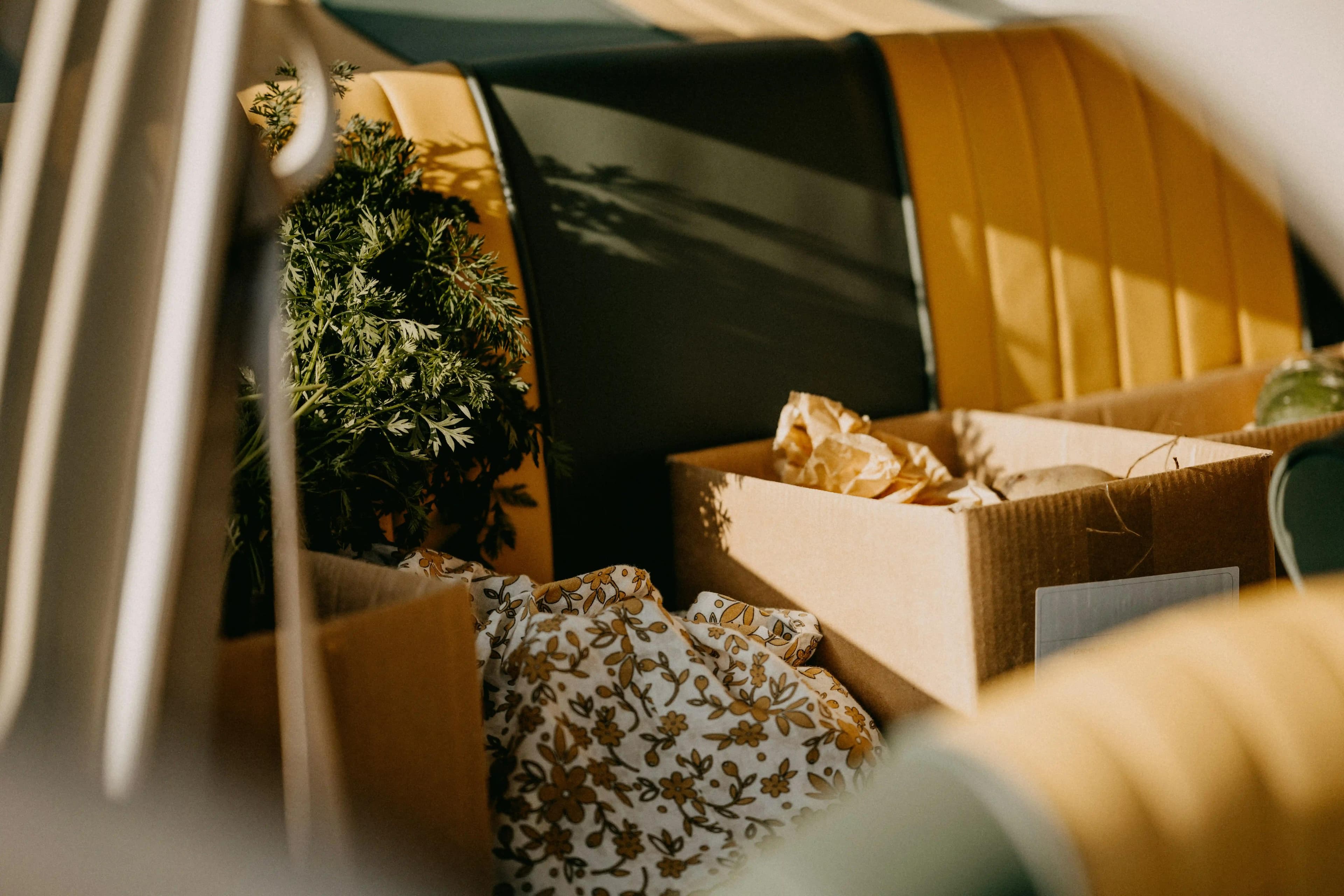 Beyond Driving: How We Assist During Your Tea Ceremony