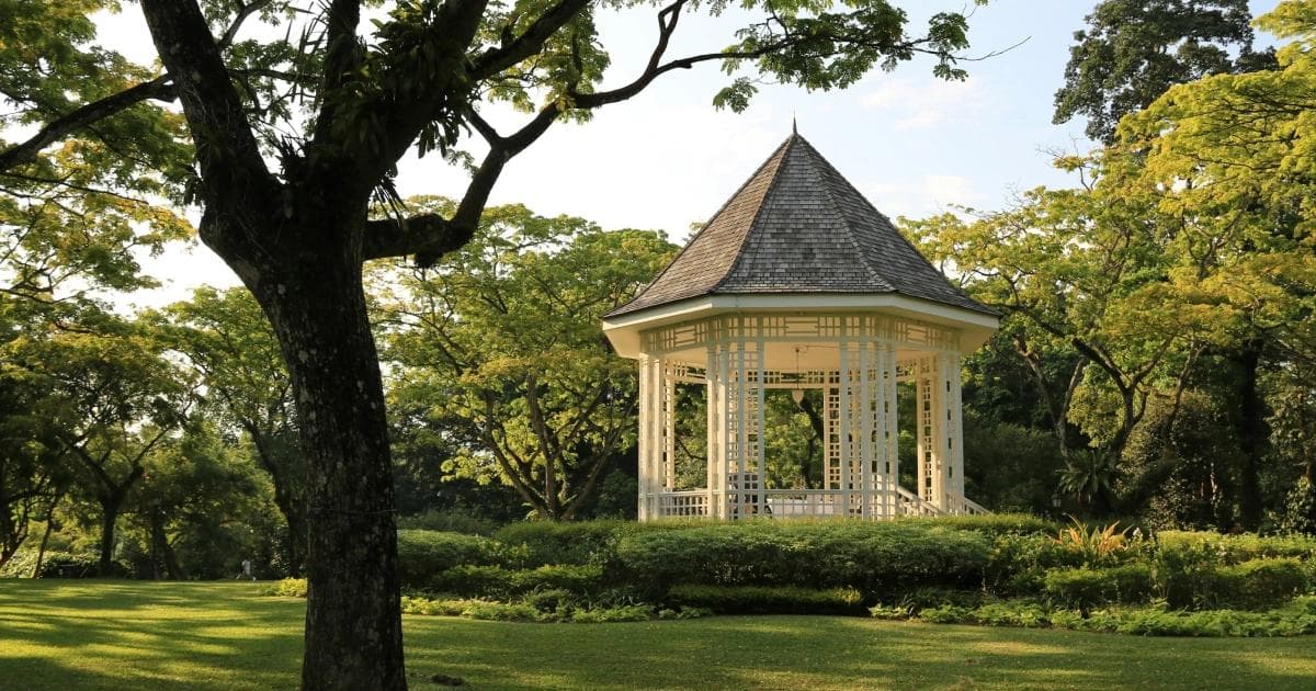 Getting Married at the Singapore Botanic Gardens